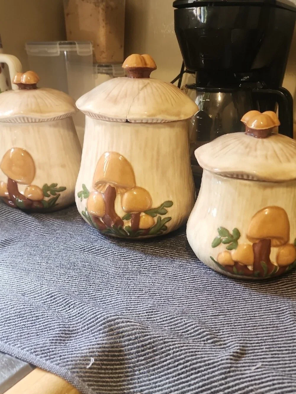 Vintage Mushroom Ceramic Canister Set - Tan and Brown